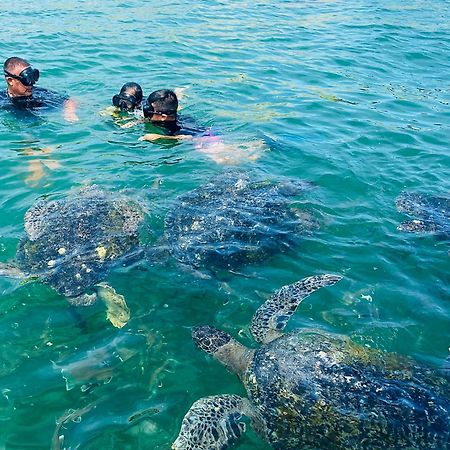 Casanorte Paraiso Norteno Mirador De Ballenas Canoas de Punta Sal Eksteriør billede