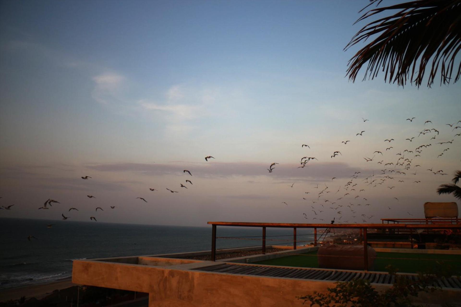 Casanorte Paraiso Norteno Mirador De Ballenas Canoas de Punta Sal Eksteriør billede